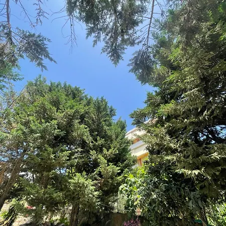 酒店 Freskia Sarandë