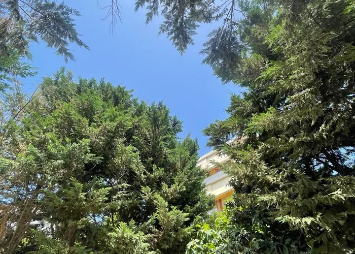 מלון Freskia סרנדה